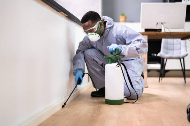 Professional Pest Control in Coker, AL